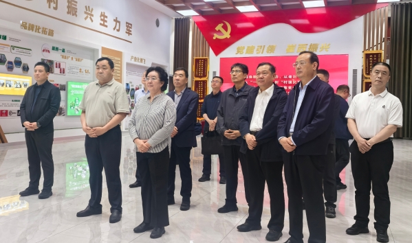 网站.jpg